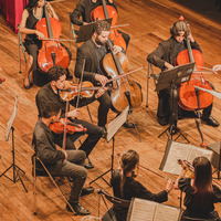 Imagem miniaturizada de uma apresentação musical do Instituto Cajuzinho do Cerrado